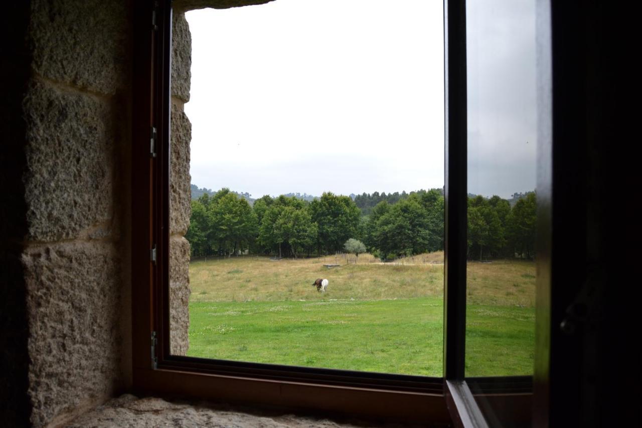 Quinta Do Medronheiro Hotel Rural Viseu Εξωτερικό φωτογραφία